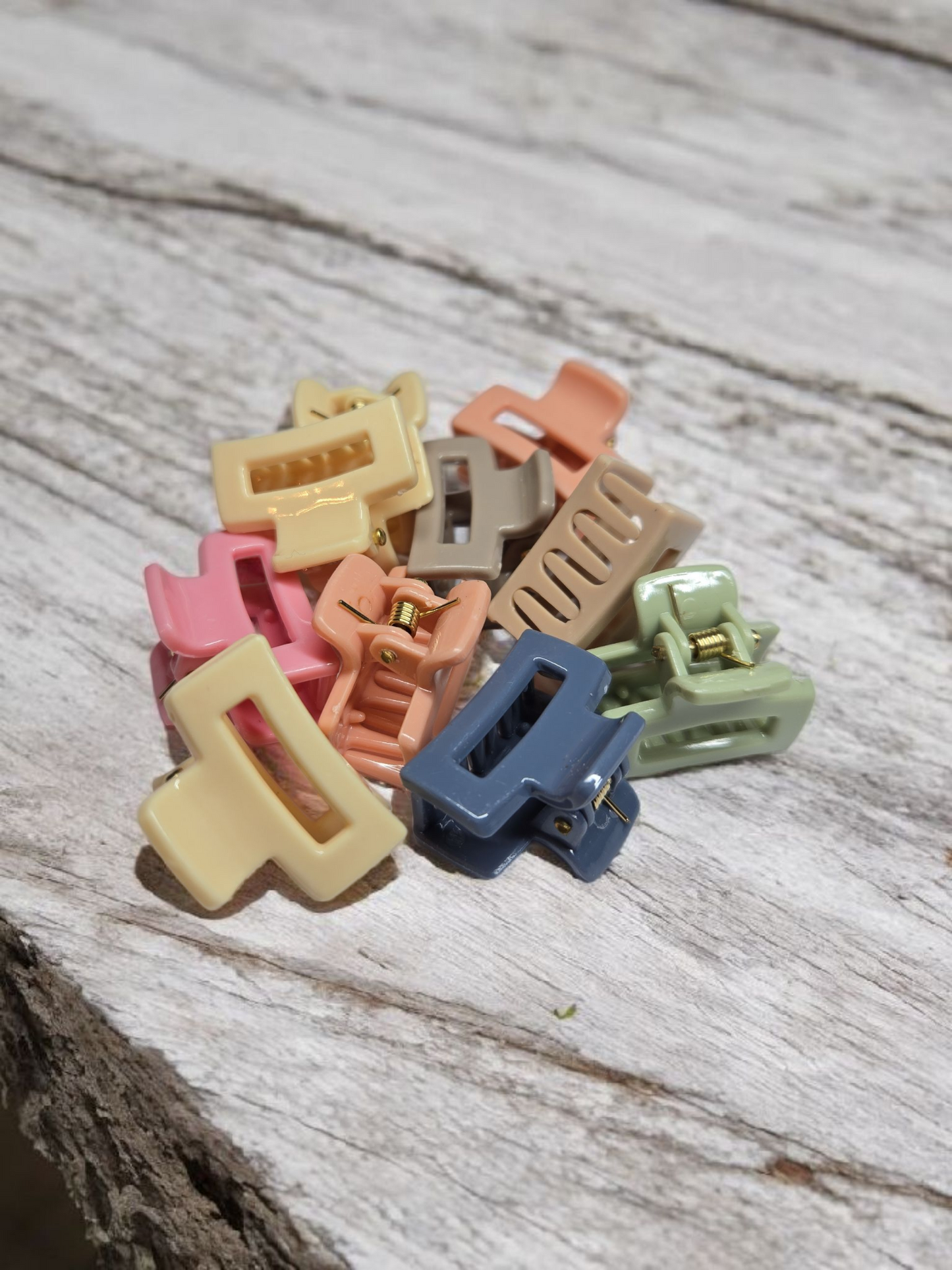 Mini Hair Clips Set of 10