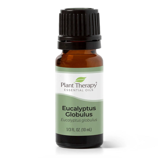 Eucalyptus Globulus Essential Oil 10 ML