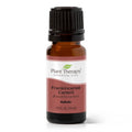 Frankincense Carterii Essential Oil 10 ML