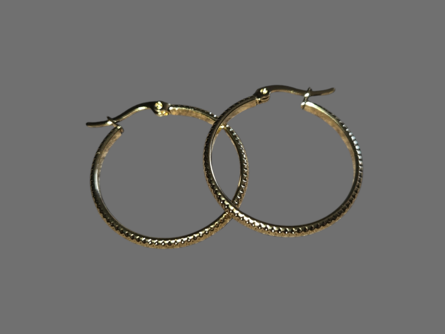 Stainless Steel Hoop Earrings