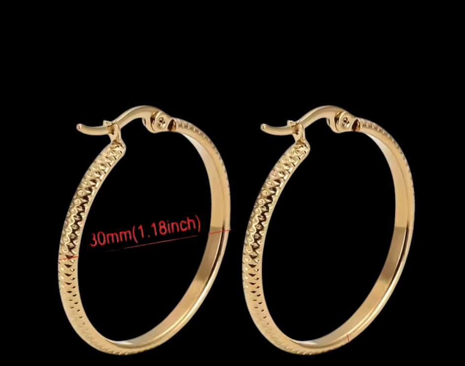 Stainless Steel Hoop Earrings