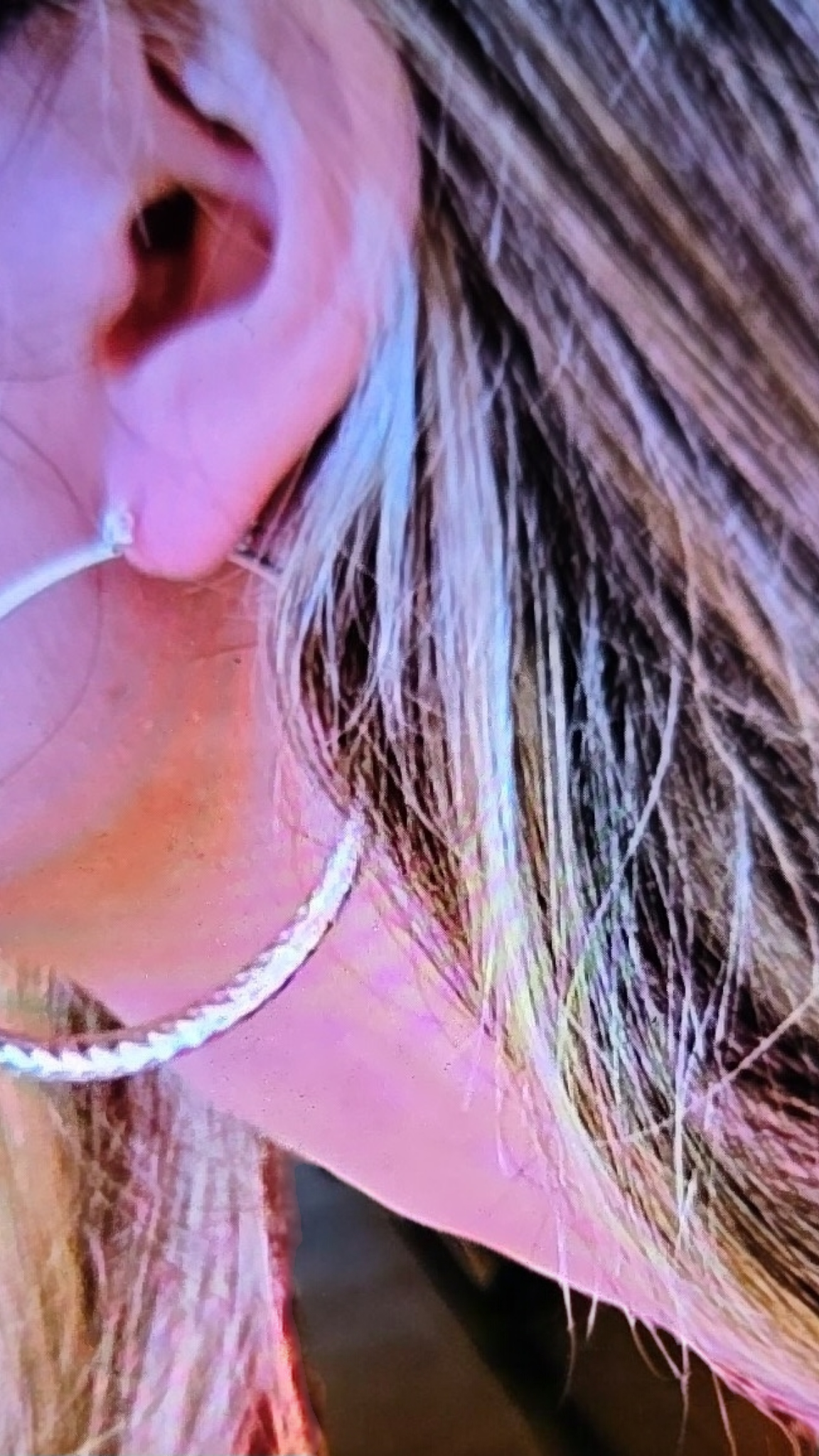 Large Diamond Cut Sterling Silver Over-Lay Hoops