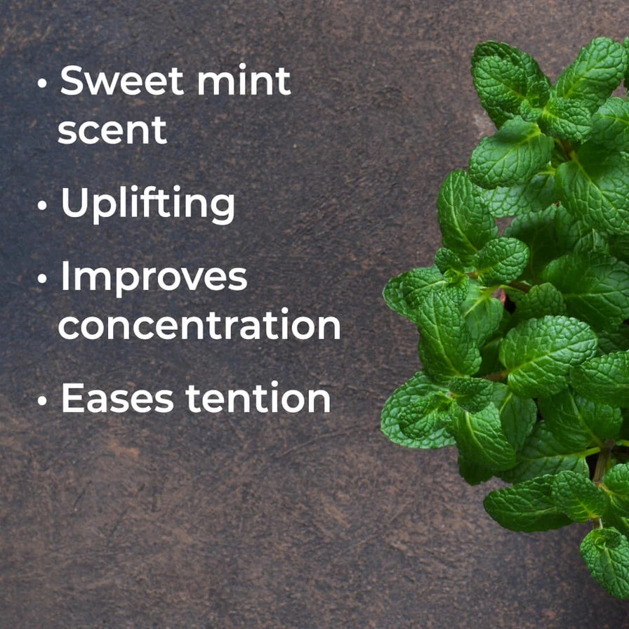 Spearmint Essential Oil 10 ML